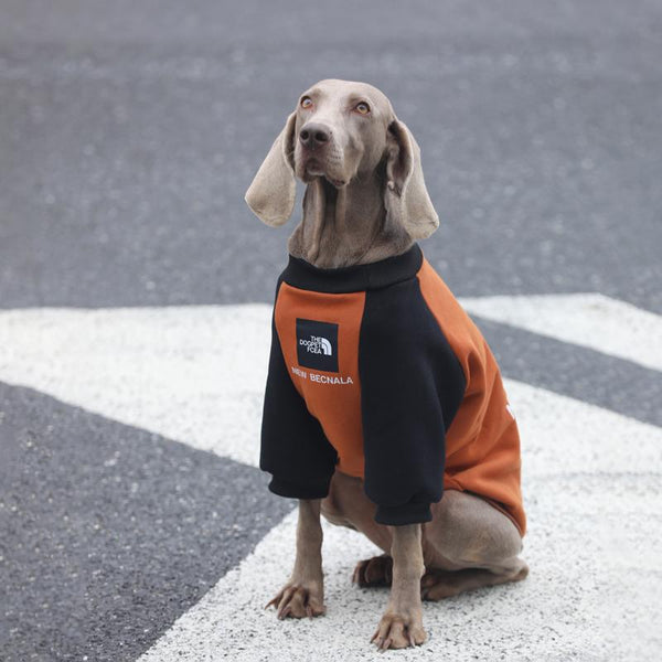 Big Dog Sweatshirts Large Size Clothes Athletic Hoodie Shirts Cotton