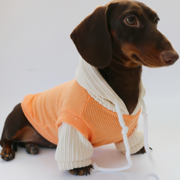 Dachshund Dog Clothes Knit Hoodie Winter Orange