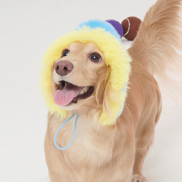 Blue Yellow Faux Fur Dog Hat Multicolor