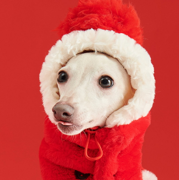 Red New Year Fleece Collar Scarf Dog Hat