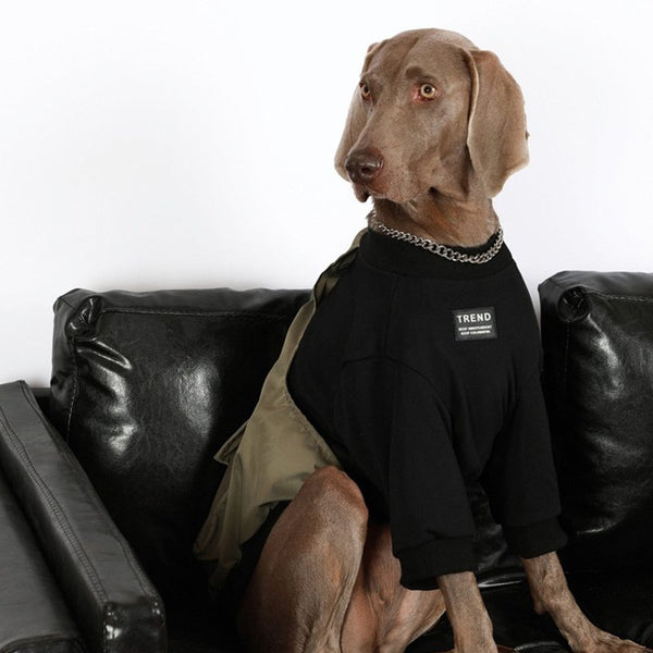 Big Dog Clothes Shirts