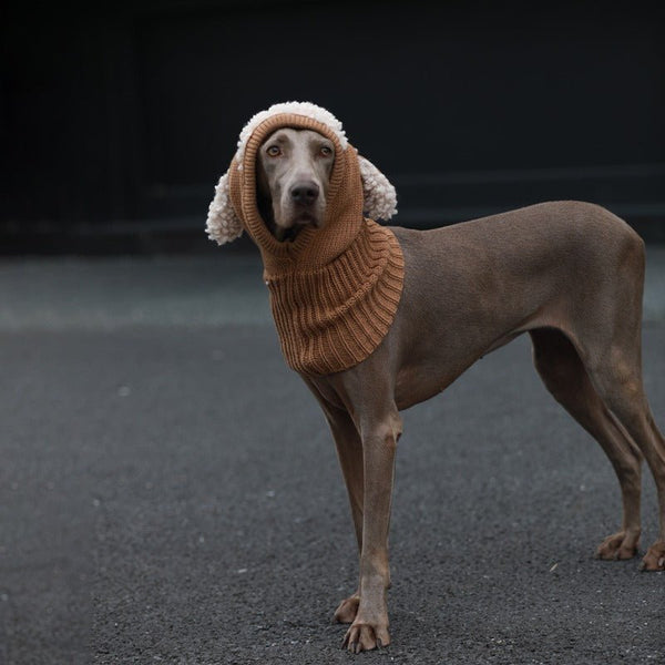 Cute Ear Knitting Warm Freeze-proofing Dog Hat