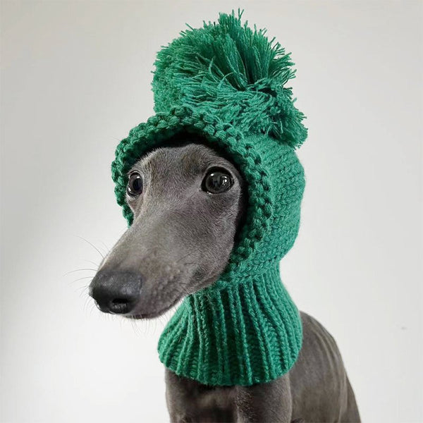 Green Pom Beanie Knitted Dog Hat