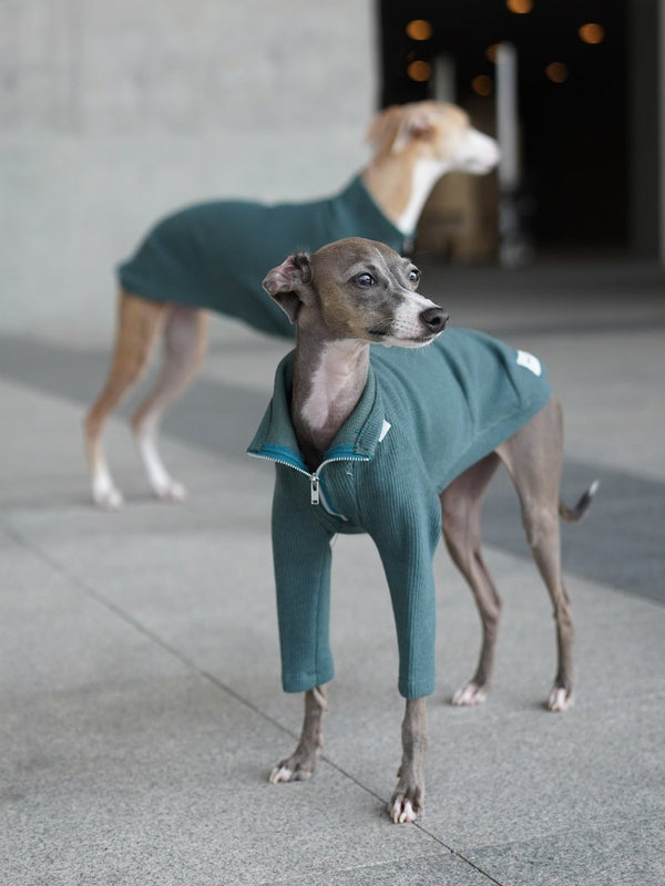 Turtleneck Zip Shirts for italian greyhound whippet